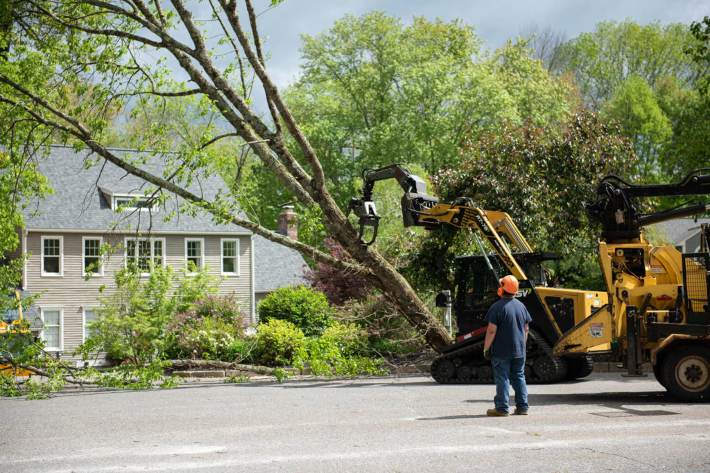Weston, MA Tree Removal