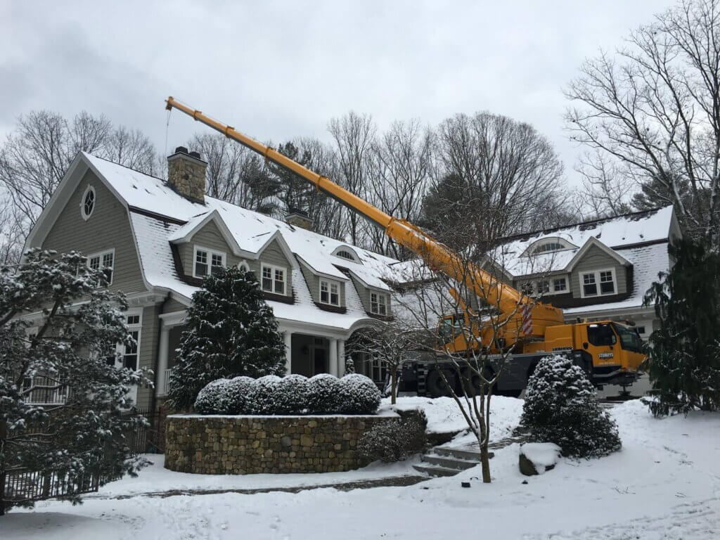 Year round tree service