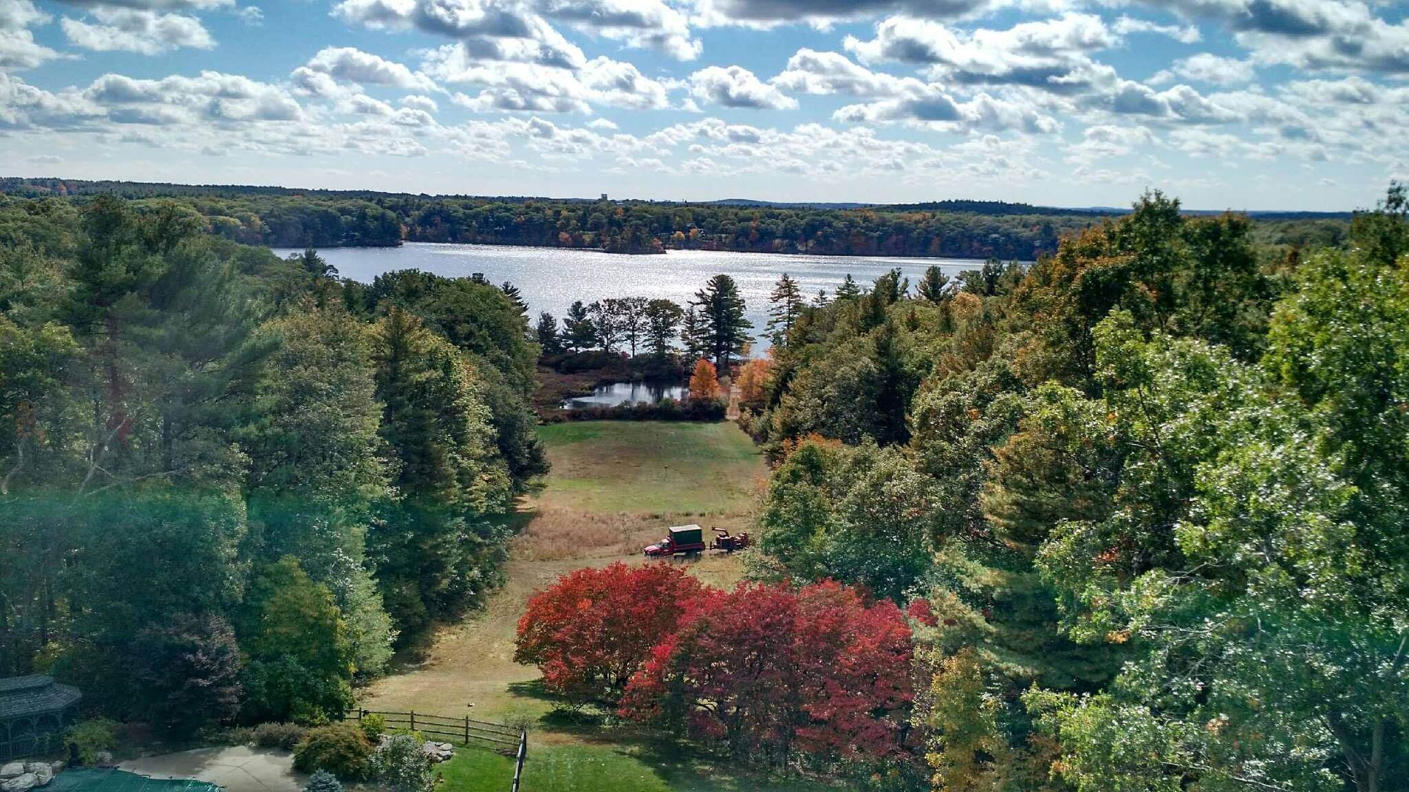 Waltham-Tree-Services