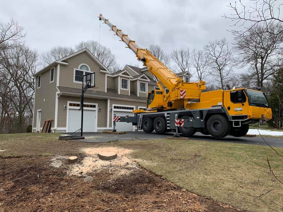 Tree Removal and Stump Grinding
