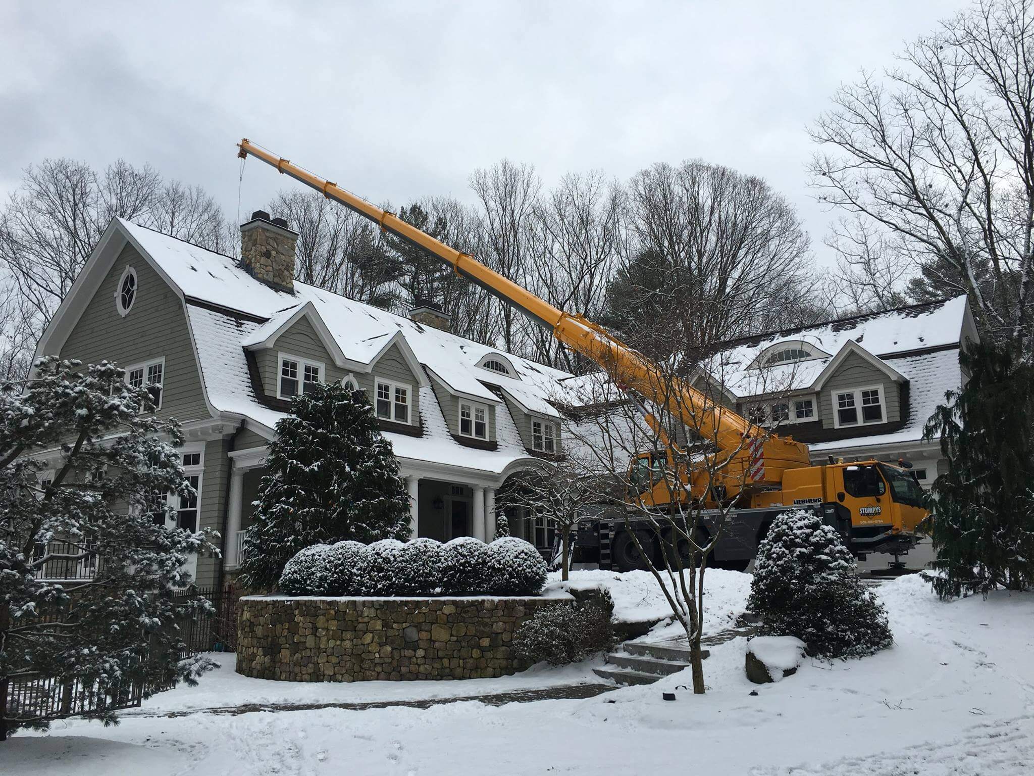 winter tree work in massachusetts