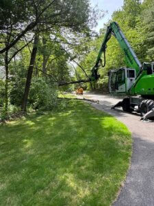 Crane-Assisted Tree Removal
