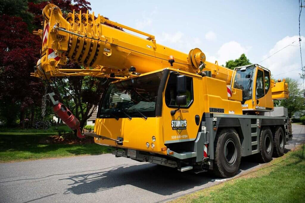 Tree Service Wayland