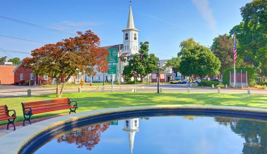 Tree Services – Bridgewater, MA