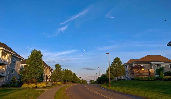 Tree Services in Lakeville, MA