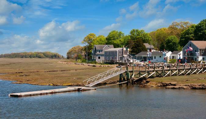 Tree Services in Marshfield, MA
