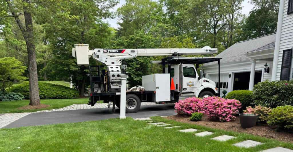 Summer Tree Pruning in Ashland, MA: Why It Matters for Your Trees and Property