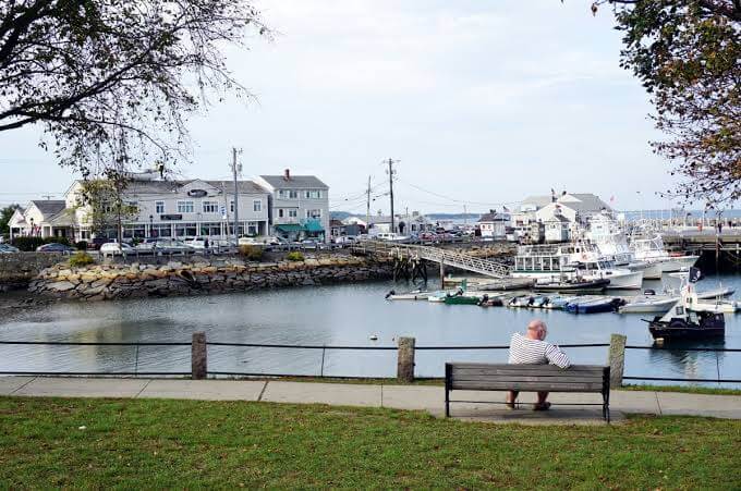 Tree Services in Plymouth, MA